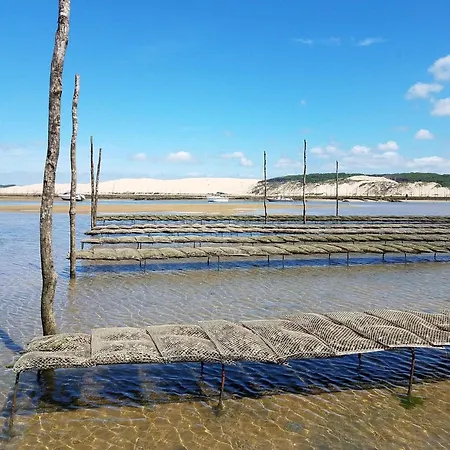 Ideal Au Coeur D'arcachon - 4 Pers. - Fr-1-474-296 *